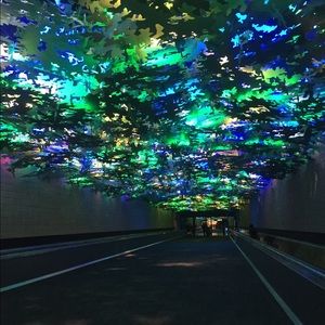 Meet your Posher, Tania